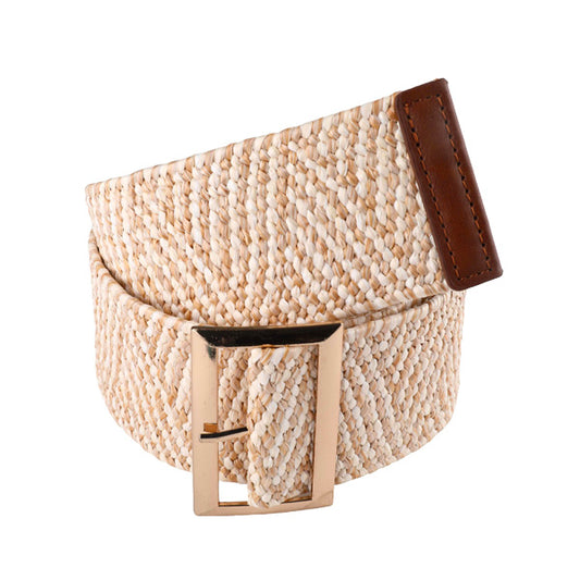 Office Versatile Beige-Brown Color Block Women's PP-based PU Belt HR-009